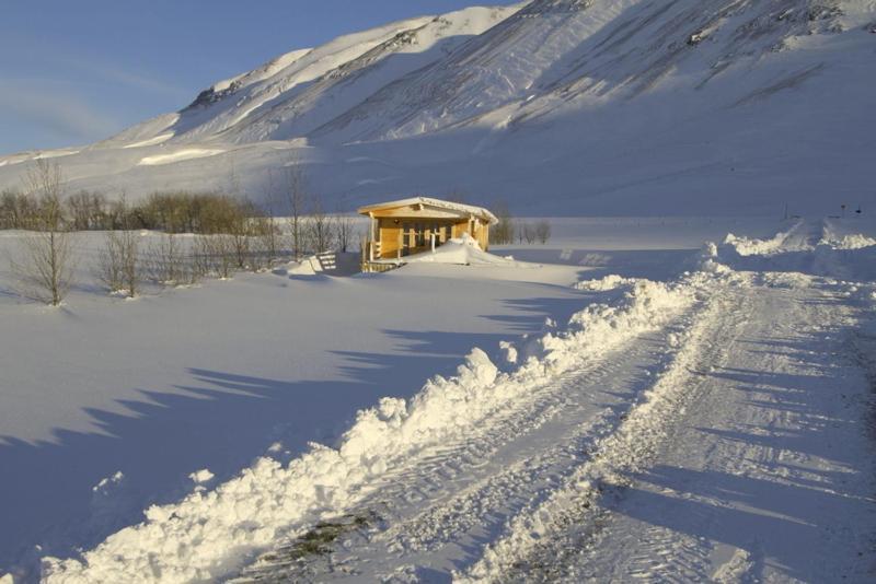 Artun Guesthouse 部屋 写真